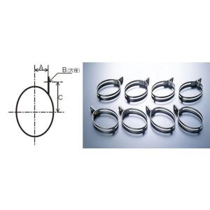 AKRAPOVIC アクラポビッチ 汎用サイレンサーバンド 楕円サイレンサー用 (サイド10mmロン...