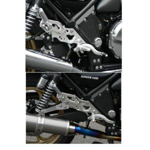 ZEPHYR1100 ゼファー1100 レイダウンキット PMC ピーエムシー ゼファー1100 レイダウンキット カラー