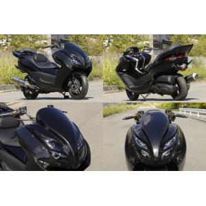 Typhon 90208 デベロッパー フロントマスク マジェスティ250 4D9 SG20J