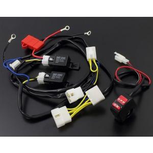 ACTIVE(アクティブ)バイク用 スイッチBOX スイッチKIT TYPE-2