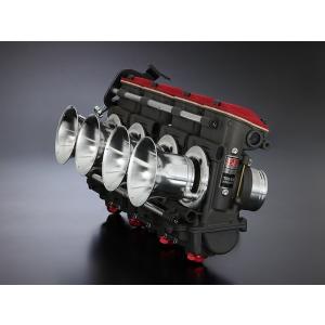 ミクニ 27-21024 MIKUNI TMRキャブレター φ41 D1 ファンネル仕様 ミクニ 27-21024 MIKUNI TMRキャブレター φ41 D1 ファンネル仕様