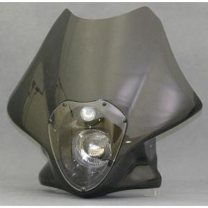 A-TECH エーテック ビキニカウル ルナソー...の商品画像