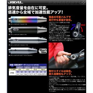 31 スリーワン スポーツライン ショートマフラー SKYWAVE 250