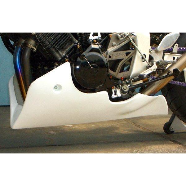 CLEVER WOLF クレバーウルフ アンダーカウル タイプ：綾織りカーボン TRX850 YAM...