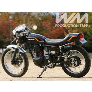 WM ダブルエム マッハモード テールカウル COMP 250TR KAWASAKI カワサキ シー...