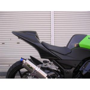 AKRAPOVIC（アクラポビッチ） 18~ Ninja250 Ninja400 Akrapovic