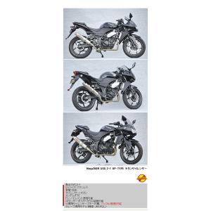 月木レーシング ツキギレーシング TR エキゾーストシステム フル