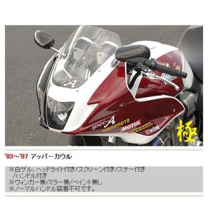 DOREMI COLLECTION（ドレミコレクション） type R アッパーカウル