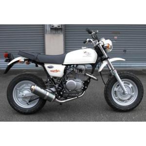 BURIAL ベリアル GP・M1マフラー APE100 [エイプ] TypeD HONDA ホンダ