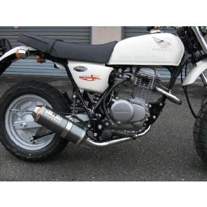 WirusWin（ウイルズウィン） シャープマフラー エイプ100 HONDA ホンダ