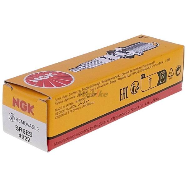 NGK エヌジーケー 標準プラグ BR6ES 4922 RTLR250 TLR260 COTA315...