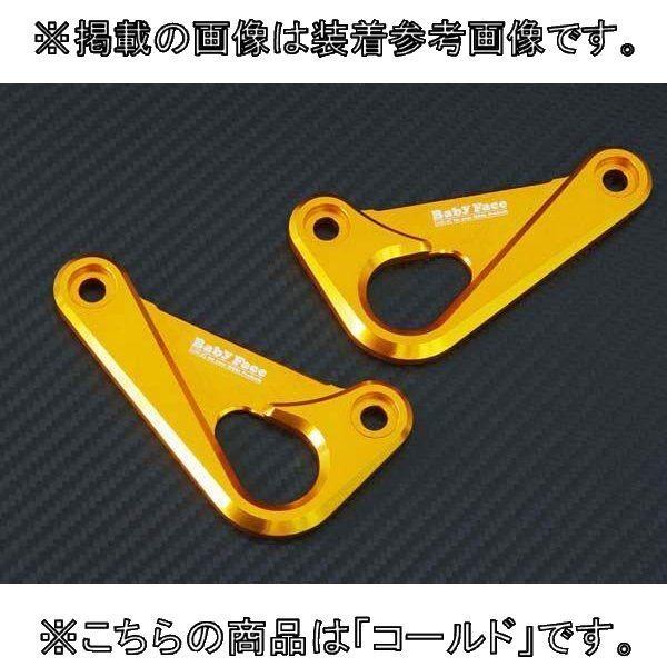 BABYFACE ベビーフェイス レーシングフック カラー：ゴールド ZX-10R KAWASAKI...