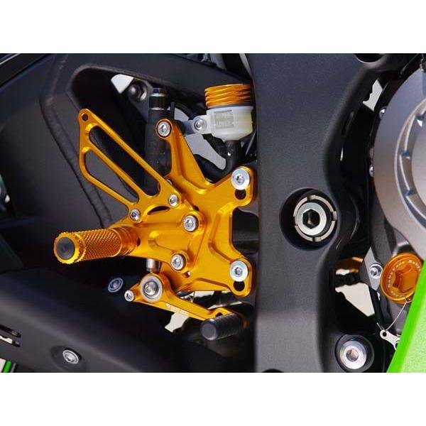BABYFACE ベビーフェイス バックステップキット カラー：シルバー ZX-10R KAWASA...