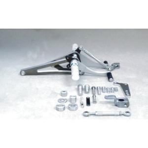 COERCE コワース フィクスドレーシングステップ 250TR KAWASAKI カワサキ バック...