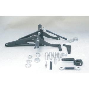 COERCE コワース フィクスドレーシングステップ 250TR KAWASAKI カワサキ バック...