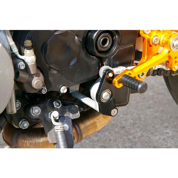 BABYFACE ベビーフェイス リバースシフトプレート 990SUPER DUKE R 1290 ...