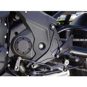 OSCAR（オスカー） フロントフェンダーショートB 黒ゲル 250TR