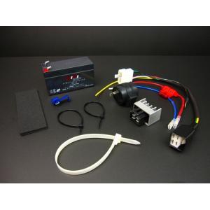 CT110ハンターカブ6→12V化コンバートキットAG車専用 : ミニモト公式
