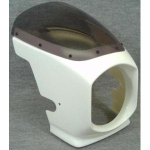 ワールドウォーク（WORLD WARK） ゼファー1100 ビキニカウル DS-01