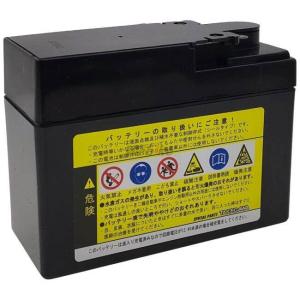 SP武川 SPタケガワ 12VシールタイプMF...の詳細画像1