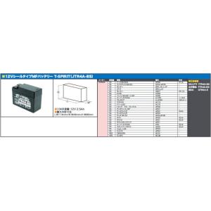 SP武川 SPタケガワ 12VシールタイプMF...の詳細画像4