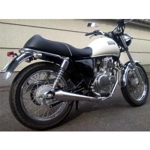 PRO SKILL プロスキル レーシングサイレンサー TT250R レイド