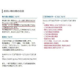 XAM ザム CLASSICシリーズ リアスプ...の詳細画像1