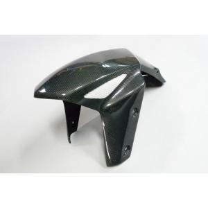 TEASER FFK07G FRONT FENDER 【DRY CARBON HG】 Kawasaki Ninja1000SX