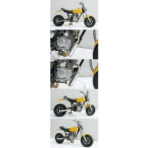 WirusWin（ウイルズウィン） シャープマフラー エイプ50 HONDA ホンダ
