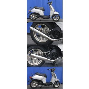 WirusWin ウイルズウィン シャープマフラー ディオ(4サイクル) トゥデイ HONDA ホン...
