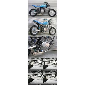 WirusWin（ウイルズウィン） テイストマフラー エイプ50 HONDA ホンダ