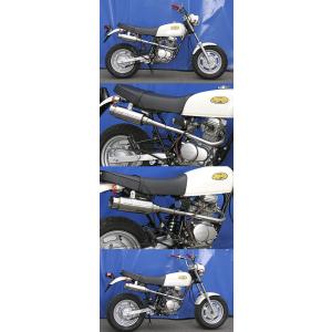 WirusWin（ウイルズウィン） ロッドショートマフラー エイプ50 HONDA