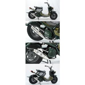 Rin Parts リンパーツ Breathing GP Racing TypeR マフラー ズーマー