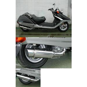 WirusWin（ウイルズウィン） ファーストマフラー フュージョン HONDA