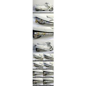 WirusWin ウイルズウィン コンビネーションマフラー マグザム