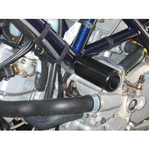 GSG MOTOTECHNIK GSGモトテクニック フレームスライダー MONSTER S4 [モ...