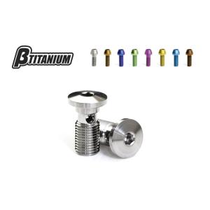 βTITANIUM ベータチタニウム オイルラインチタンボルト(カワサキ用)
