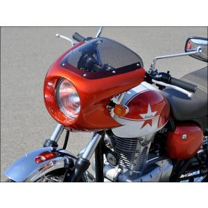 TSR テクニカルスポーツレーシング カーボンリヤフェンダー VFR800F