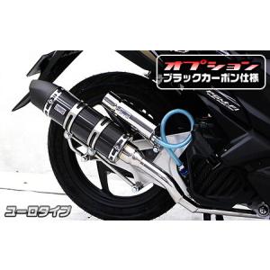 Z1000 NINJA1000 ニンジャ 忍者 フルエキゾースト マフラー エキパイ