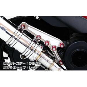 BEAMS（ビームス） マフラー 送料無料 マフラー アドレスV125 CF46A