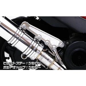 BAEMS ビームス R-EVOステンレスマフラー アドレスV125S 楽天市場】アドレスV125S（ADDRESS） R-EVO（レーシングエヴォ