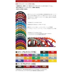 TKRJ ティーケーアールジェイ ピストンキット サイズ：0.25mm TDR250