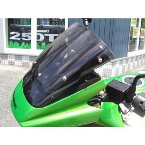 PLEASURE プレジャー バイザーリフトプレート ZRX1200DAEG [ダエグ] KAWAS...