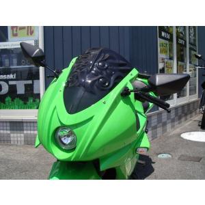 ツルノテクニカルサービス NINJA250 NINJA250R デュアルレーシング