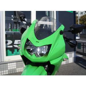 PLEASURE PLEASURE:プレジャー Ninja250R フェイスパネル  Type-1 ...