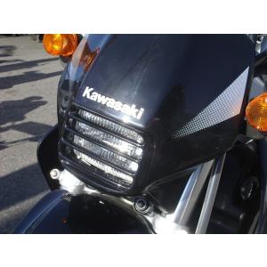 PLEASURE プレジャー ヘッドライトルーバー ZZR1100(D) KAWASAKI