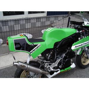 PLEASURE KSR110 Ninja250R タンク関連パーツ KR110 ENDURANCE タンク