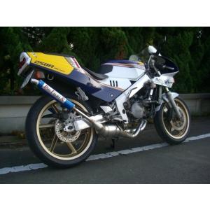 DOGFIGHT RACING（ドッグファイトレーシング） DFR チャンバー TZR250