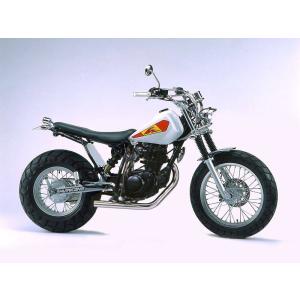 RSヨコタ レーシングショップヨコタ クワイエットファネル TW200