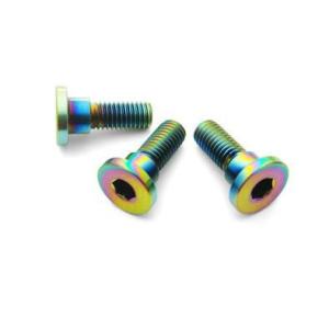 Rin Parts リンパーツ NCYブレーキディスク取り付けネジ ズーマー HONDA ホンダ そ...